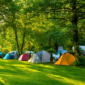Country and forest campsites